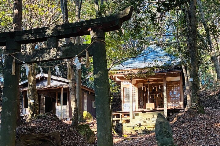 Day in Kusu An Experience Through Rural Japan — photo 14