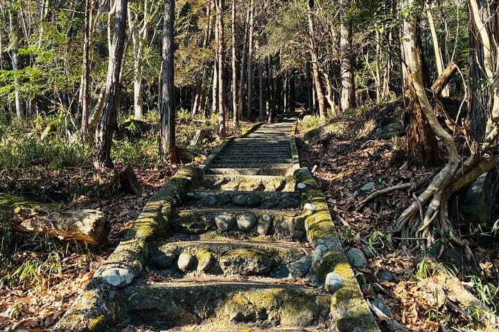 Day in Kusu An Experience Through Rural Japan — photo 11