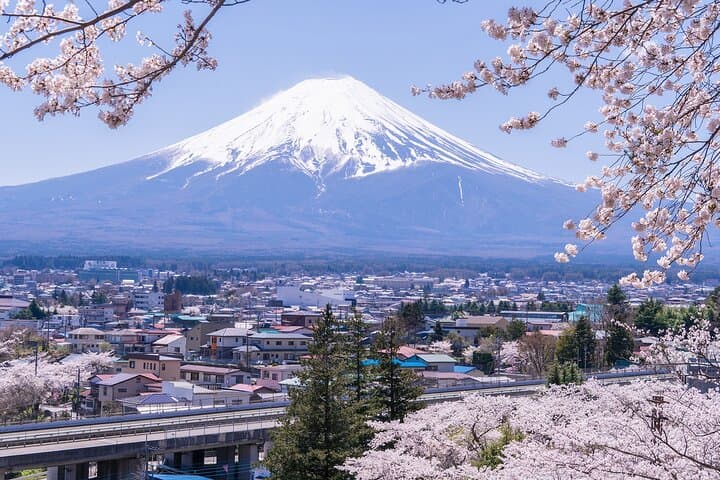 From Tokyo: Mount Fuji Sightseeing Full Day Trip — photo 11