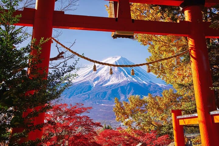Tokyo: Mount Fuji Must-see Attractions One Day Sightseeing Tour — photo 15
