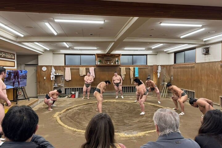 Tokyo Skytree Area: Sumo Morning Practice Stable Visit — photo 2