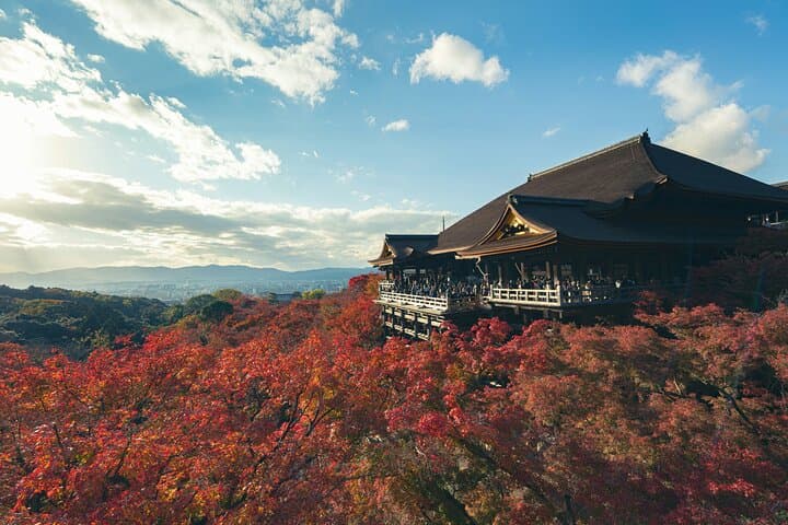 Kyoto Private Hightlights Customizable Tour&English Driver Guide — photo 2