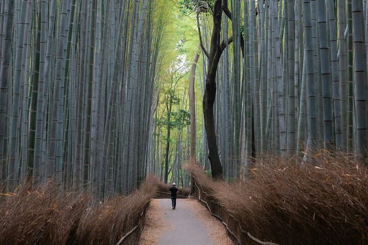 Kyoto Private Hightlights Customizable Tour&English Driver Guide — photo 3