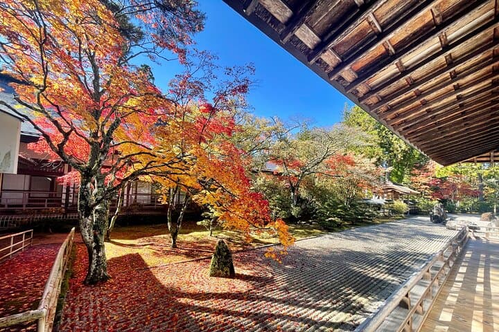 Koyasan Wakayama: Okunoin, Kongobuji & Garan with Certified Guide — photo 12