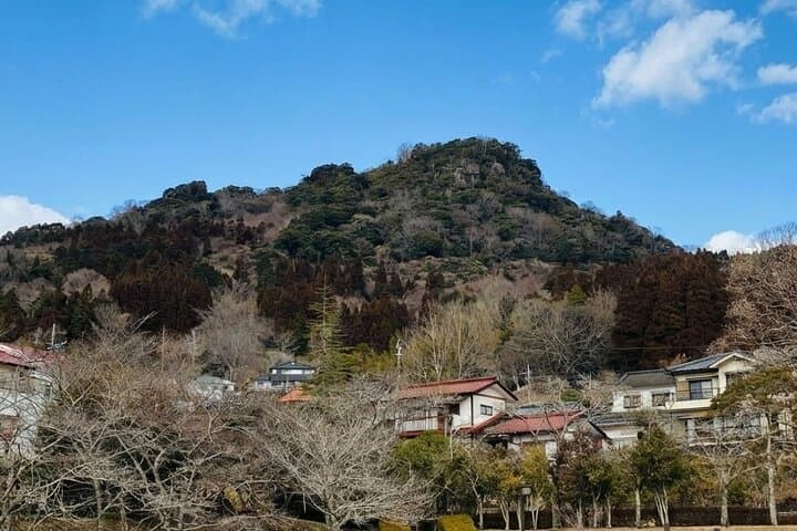 Day in Kusu An Experience Through Rural Japan — photo 6