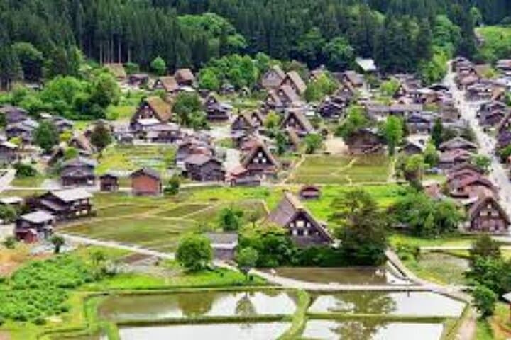 Shirakawa-go and Takayama Private Customiz Tour from Osaka/kyoto — photo 4