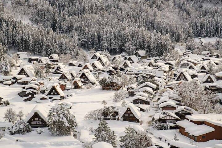 Shirakawa-go and Takayama Private Customiz Tour from Osaka/kyoto — photo 8