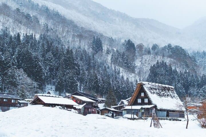 Shirakawa-go and Takayama Private Customiz Tour from Osaka/kyoto — photo 11
