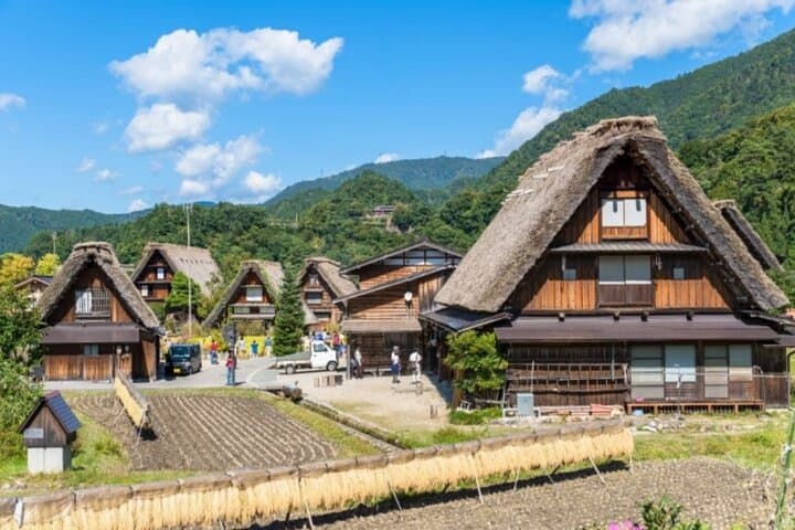 Shirakawa-go and Takayama Private Customiz Tour from Osaka/kyoto — photo 12
