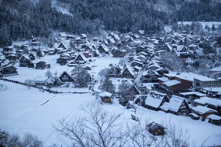 Shirakawa-go and Takayama Private Customiz Tour from Osaka/kyoto — photo 14