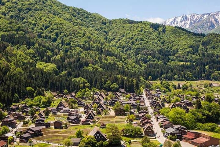 Shirakawa-go and Takayama Private Customiz Tour from Osaka/kyoto — photo 15