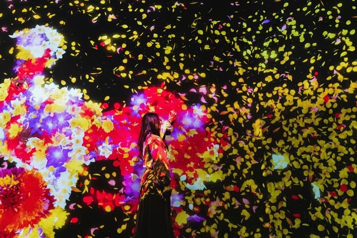 TeamLab Planets Art and Tsukiji Market Food Tour in Tokyo — photo 1