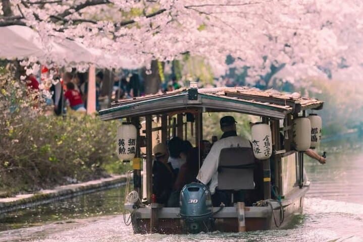 Kyoto Cherry Blossom Private Tour Boat Ride Experience — photo 2