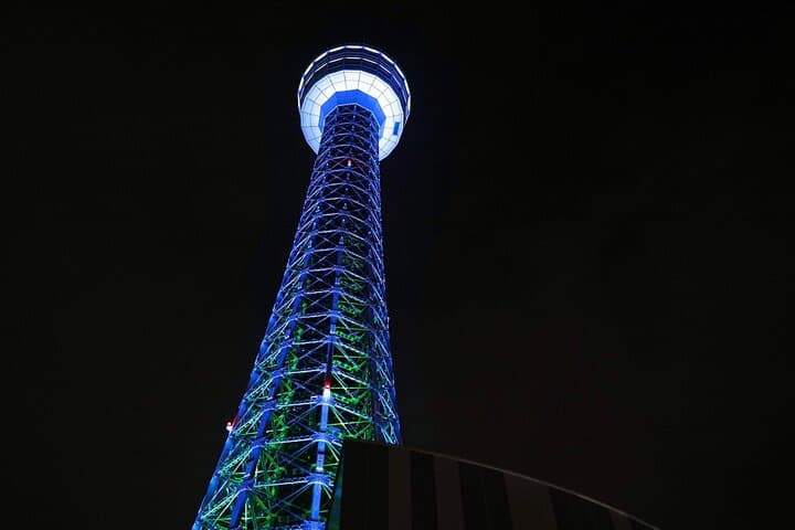 Yokohama Night Views: A Scenic Tour of Chinatown and the Harbor — photo 2