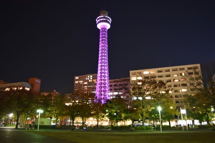 Yokohama Night Views: A Scenic Tour of Chinatown and the Harbor — photo 15