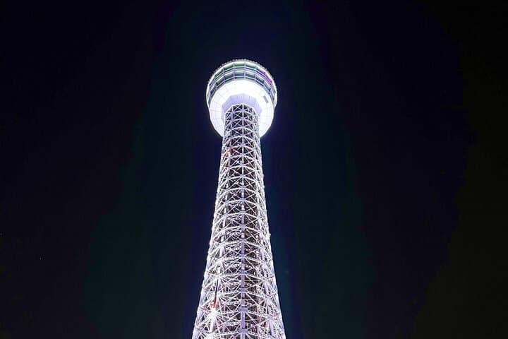 Yokohama Night Views: A Scenic Tour of Chinatown and the Harbor — photo 16