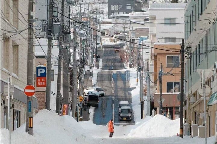 Sapporo City Highlights Customizable Private Tour — photo 2