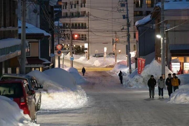 Sapporo City Highlights Customizable Private Tour — photo 4