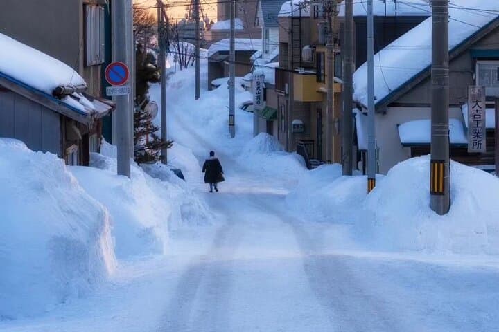 Sapporo City Highlights Customizable Private Tour — photo 9