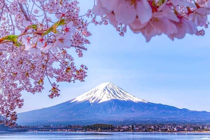 Mt. Fuji Tour Historic Village，Kawaguchiko Ropeway and Matcha — photo 1