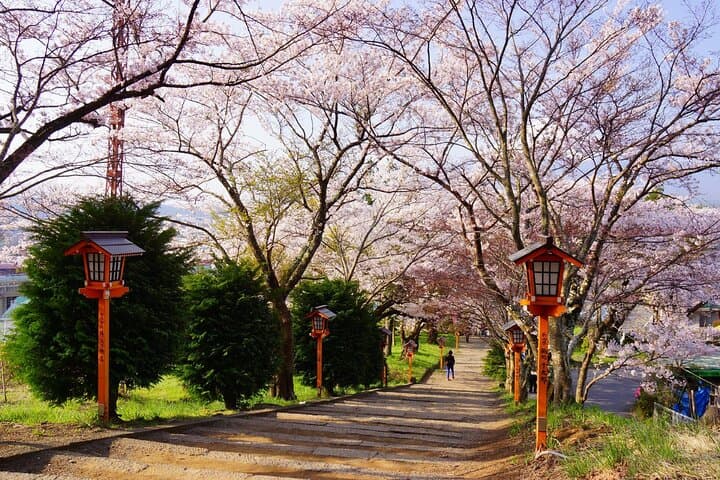 Mount Fuji Full Day Sightseeing Tour from Tokyo — photo 15
