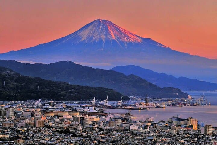 Shimizu Port Pickup: Mt. Fuji Food Tour (Tuna Bowl & Sake) — photo 16