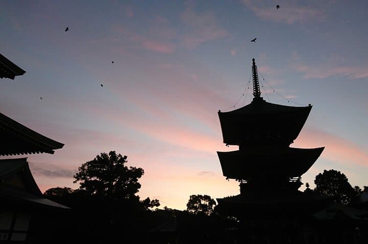 Narita: Sacred Hours—Dawn or Night at Naritasan — photo 7