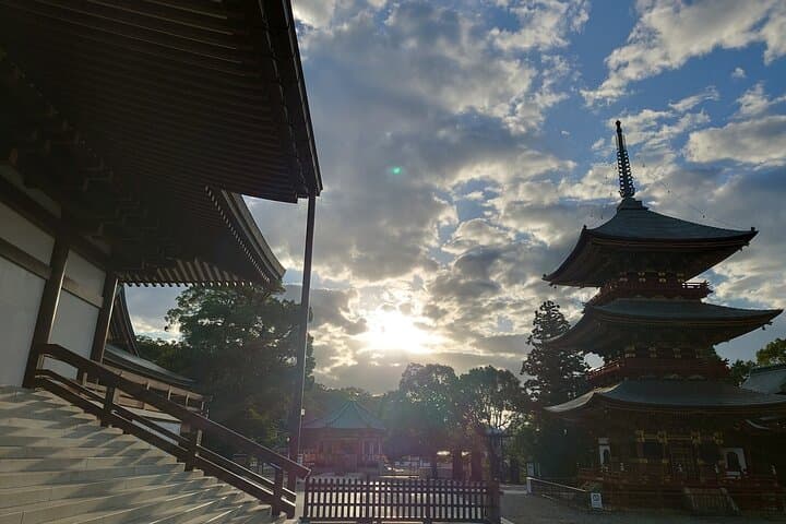 Narita: Sacred Hours—Dawn or Night at Naritasan — photo 6