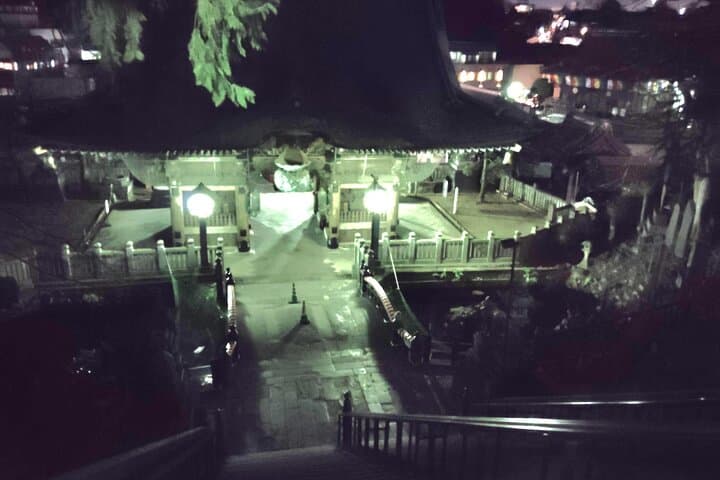 Narita: Sacred Hours—Dawn or Night at Naritasan — photo 8