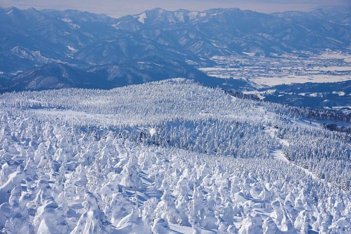 Sendai Ginzan Onsen, Zao Ropeway Snow Monsters with Lunch tour — photo 5