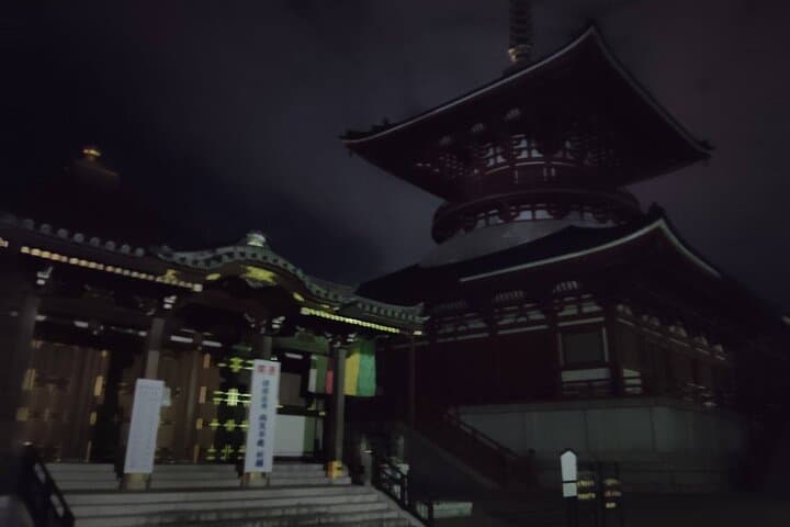 Narita: Sacred Hours—Dawn or Night at Naritasan — photo 12