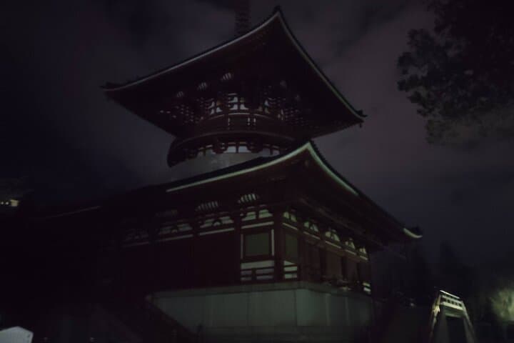 Narita: Sacred Hours—Dawn or Night at Naritasan — photo 13