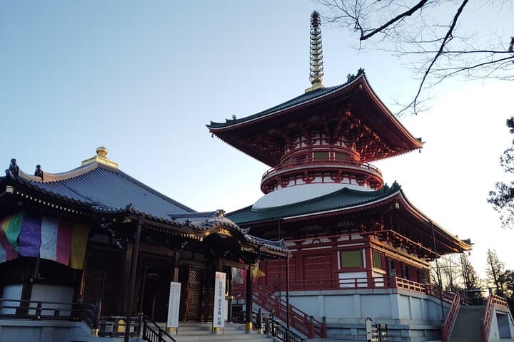 Narita: Sacred Hours—Dawn or Night at Naritasan — photo 14
