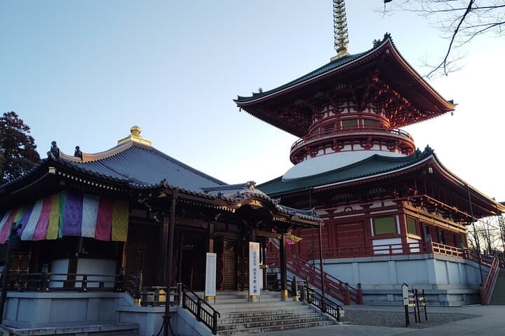 Narita: Sacred Hours—Dawn or Night at Naritasan — photo 15