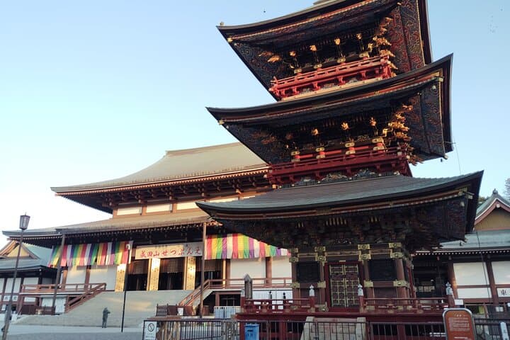 Narita: Sacred Hours—Dawn or Night at Naritasan — photo 17