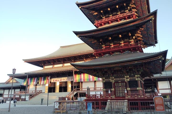 Narita: Sacred Hours—Dawn or Night at Naritasan — photo 5