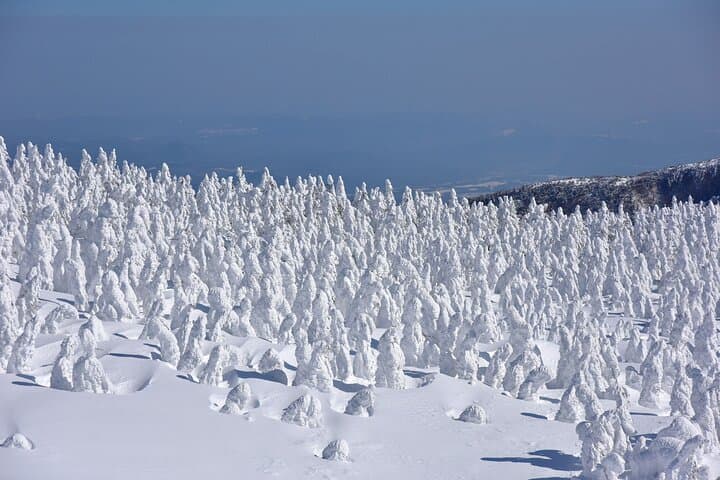 Sendai Ginzan Onsen, Zao Ropeway Snow Monsters with Lunch tour — photo 9