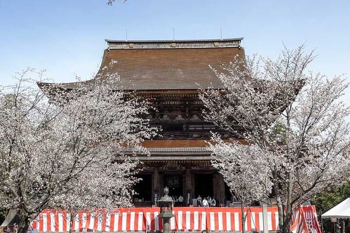 Yoshino Cherry Blossom Hiking Tour With Temple Visit — photo 3