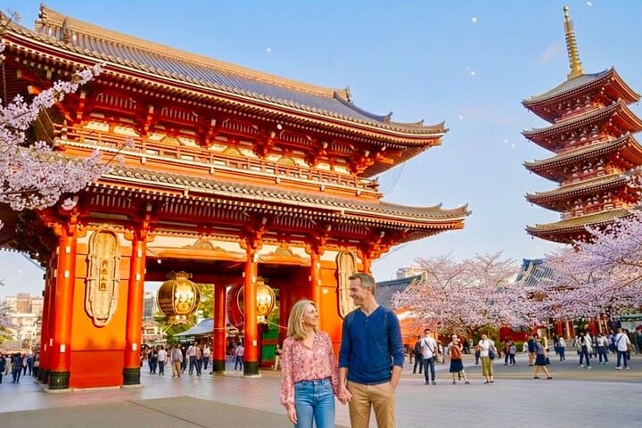 Private Curated Tour | Historical Tokyo - Ueno, Asakusa, Emperor — photo 1
