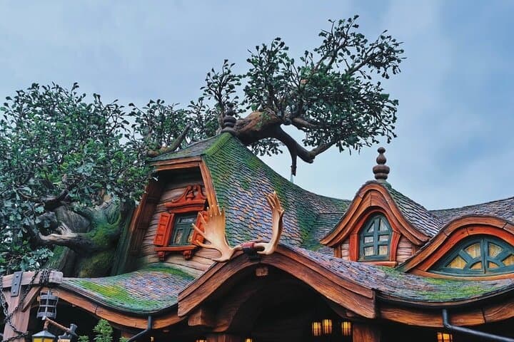 Tokyo Disney & City: Private Tour, Ticket & Airport Transfer — photo 6