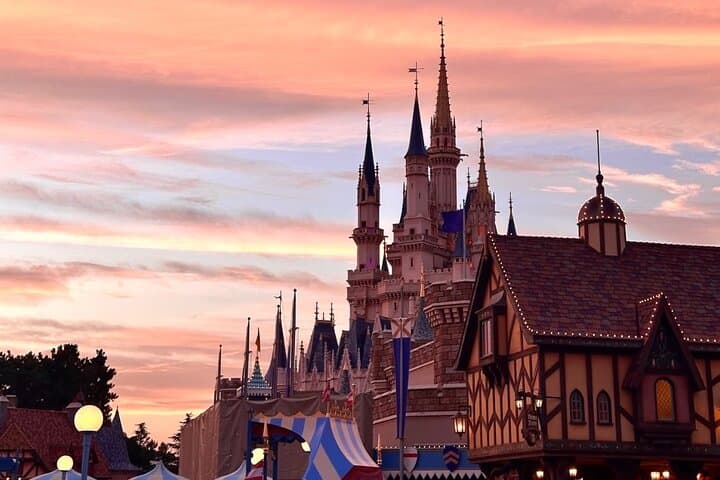 Tokyo Disney & City: Private Tour, Ticket & Airport Transfer — photo 3