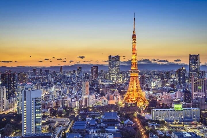 Yokohama/Tokyo Port to Disney: Ticket + Transfer & Private Tour — photo 1