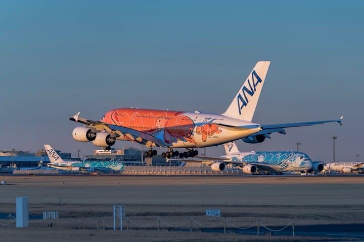 Narita Airport: Tokyo/Yokohama Cruise Port Private Transfer — photo 2
