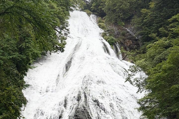 Private Nikko Shogun & Nature Tour: UNESCO Shrines & Waterfall — photo 4