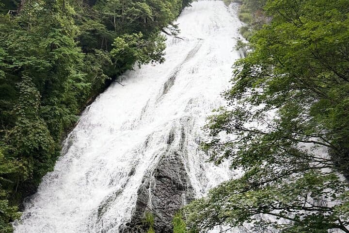 Private Nikko Shogun & Nature Tour: UNESCO Shrines & Waterfall — photo 8