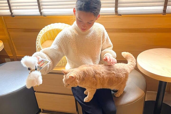 Tokyo Night Tour: Shinjuku Cat Cafe, 3D Cat & Original 3D Latte — photo 8