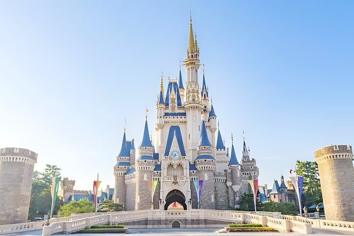Tokyo Disney & City: Private Tour, Ticket & Airport Transfer — photo 2