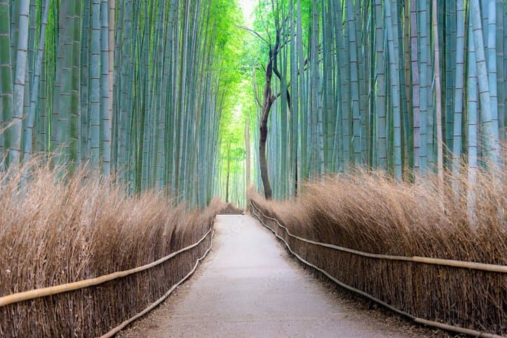Kyoto: Arashiyama Unveiled – Bamboo, Temple, Matcha, Monkeys — photo 3