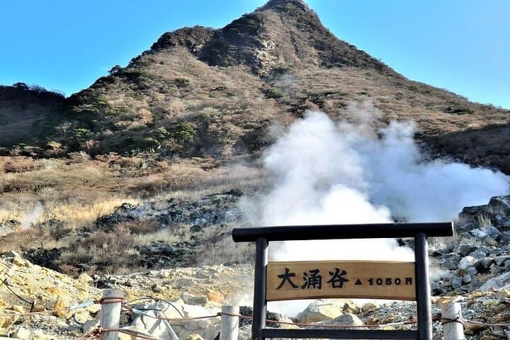 One Day Hakone and Mount Fuji Area Tour from Tokyo — photo 8