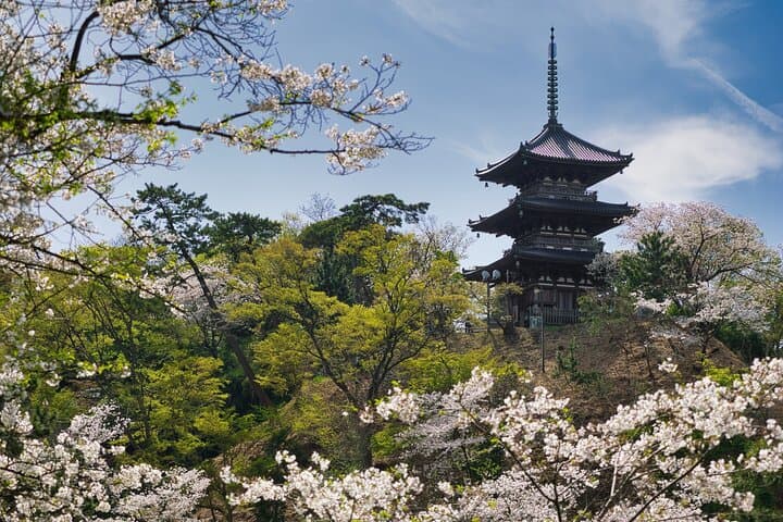 Yokohama: Understanding Sankeien Through Architecture &Space — photo 3